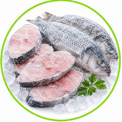 Frozen Fish